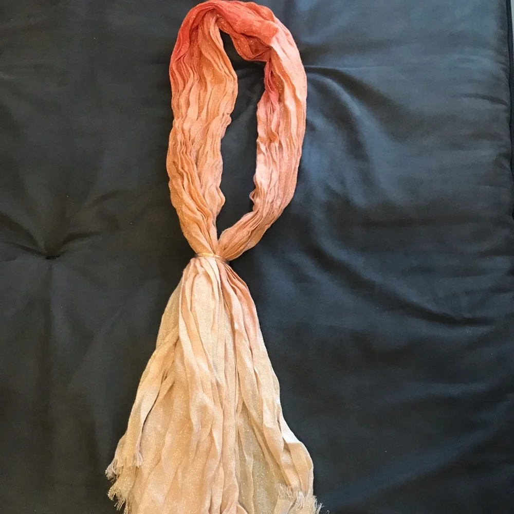 Express Ombré Scarf - Picture 1 of 9